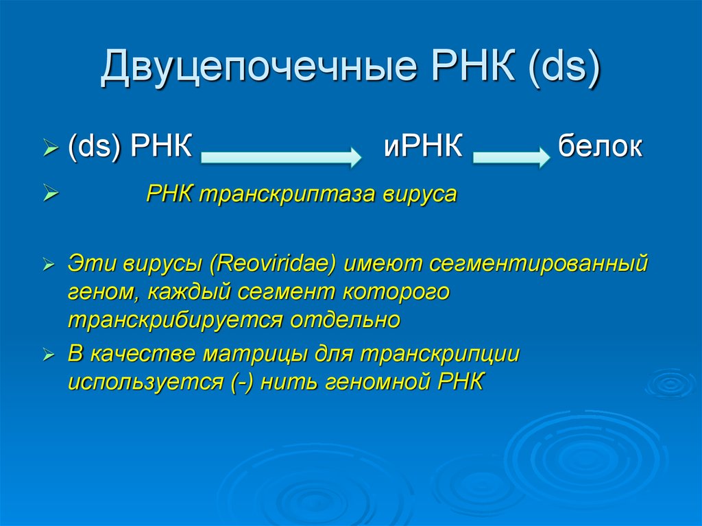 Двуцепочечный фрагмент. Ретровирусы двуцепочечные РНК. РНК двухцепочечная вирусология. Двуцепочечная РНК строение. Сегментированный геном.