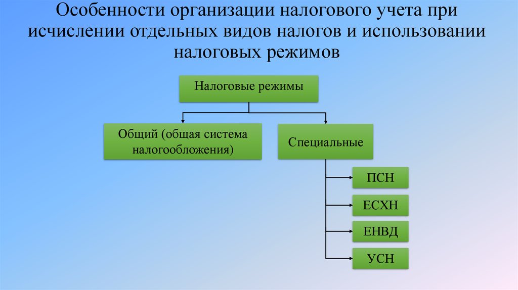 Организация налогового учета пример. Модели организации налогового учета. Организация налогового учета на предприятии. Схема бухучета и налогового учета на осно. Налоги юридических лиц.