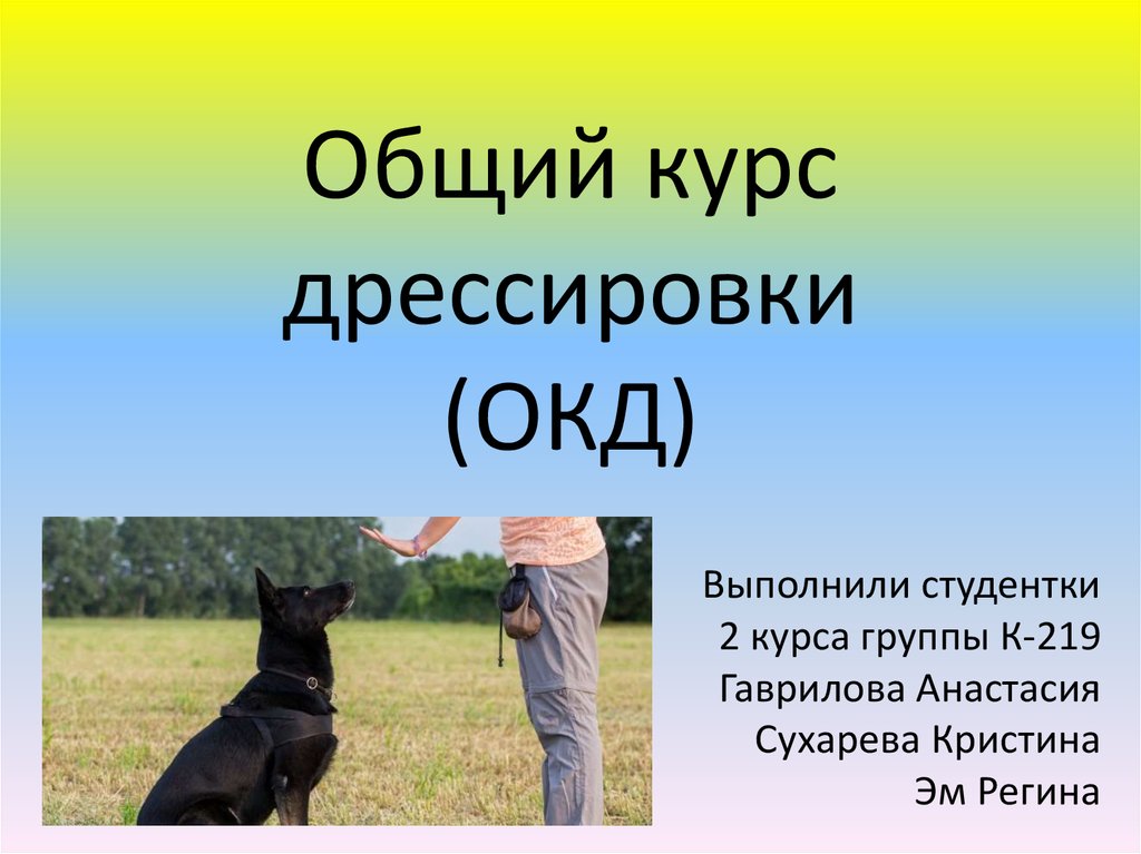 Курсовая работа: Анализ методов и способов общедисциплинарной дрессировки собак