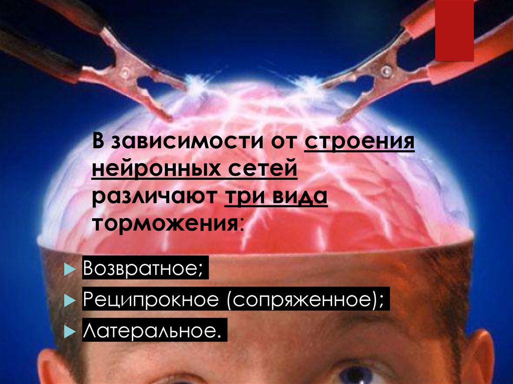 В зависимости от строения нейронных сетей различают три вида торможения: