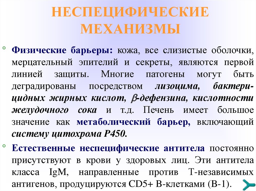 Неспецифические изменения