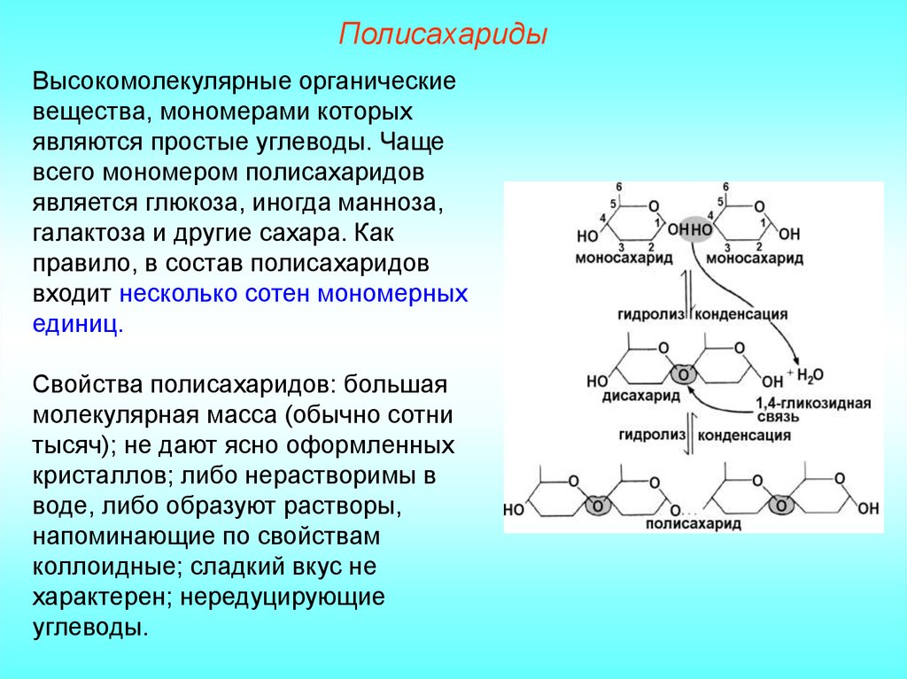 К высокомолекулярным соединениям относится. Мономеры полисахаридов формулы. Полисахариды состав. Что является мономером полисахаридов. Полисахариды это в биологии.