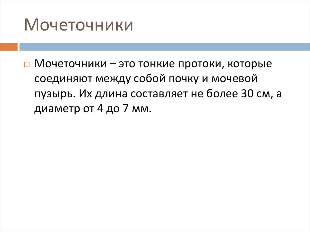 Мочеточники