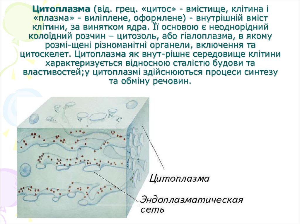 Цитоплазма вещество. Цитоплазма. Плазма и цитоплазма. Цитоплазма и ее структурные компоненты. Таблица.. Функции цитоплазмы в клетке.