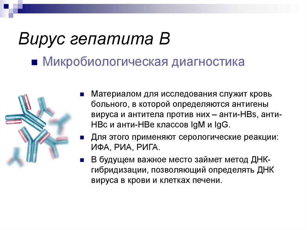 Диагностика вирусов. Микробиологическая диагностика гепатита в. Гепатит в материал для исследования. Микробиологическая диагностика вируса гепатита в. Диагностика гепатита в микробиология.