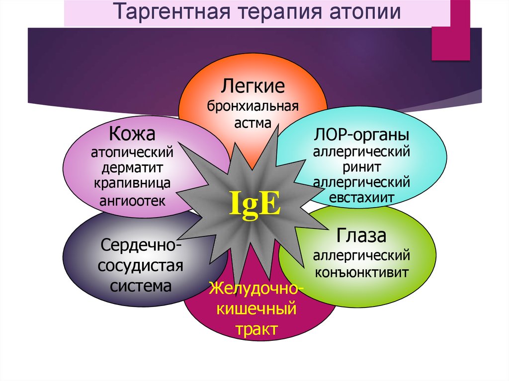 Шоковые органы