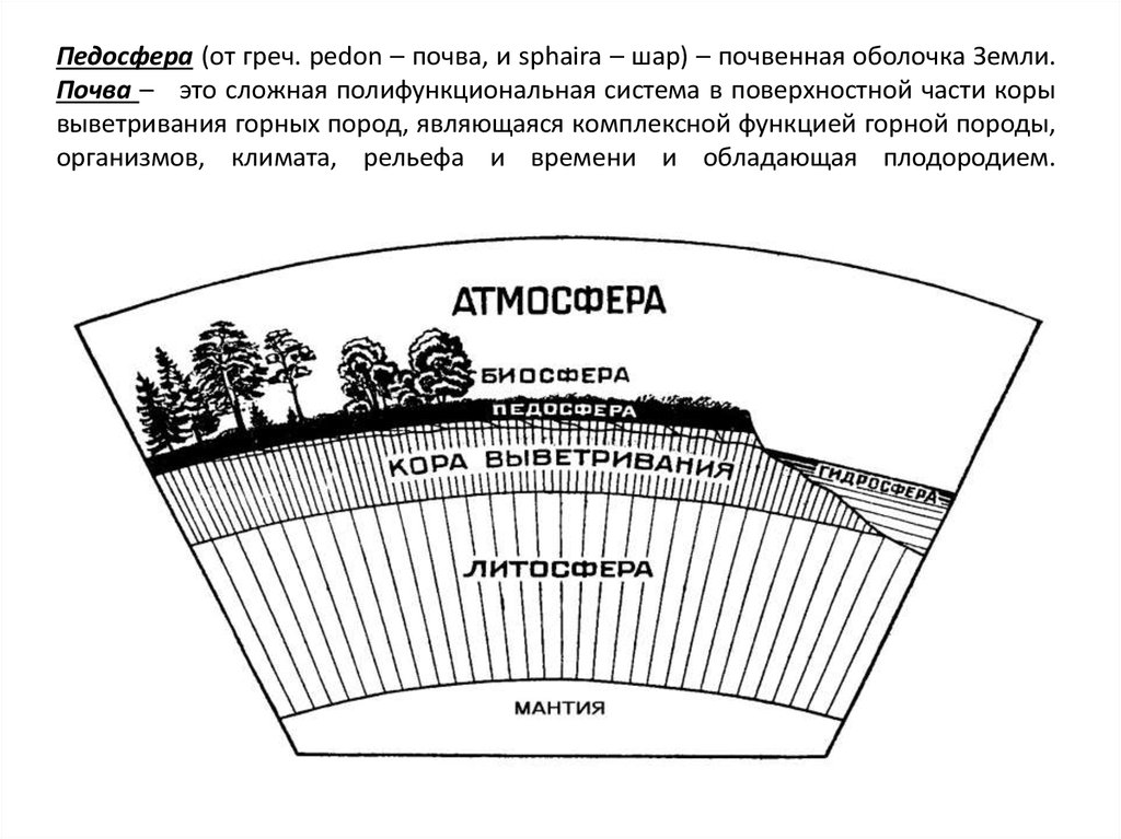 Педосфера (от греч. pedon – почва, и sphaira – шар) – почвенная оболочка Земли. Почва – это сложная полифункциональная система