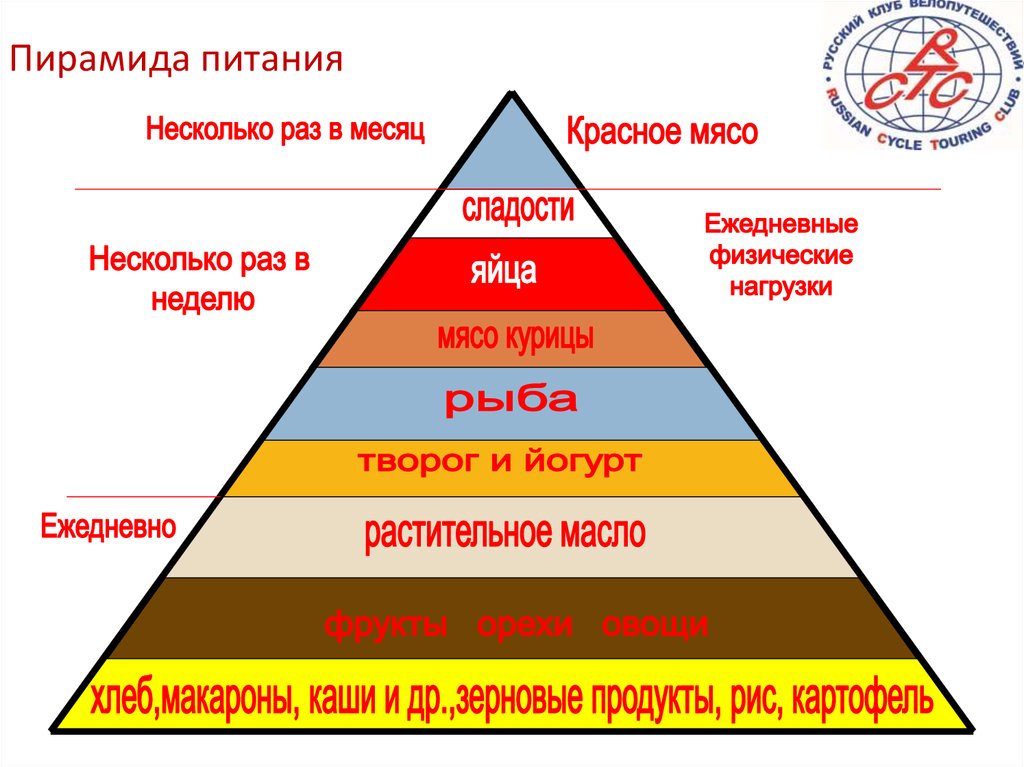 Составляющие пирамиды. Пирамида питания. Составление пищевой пирамиды.