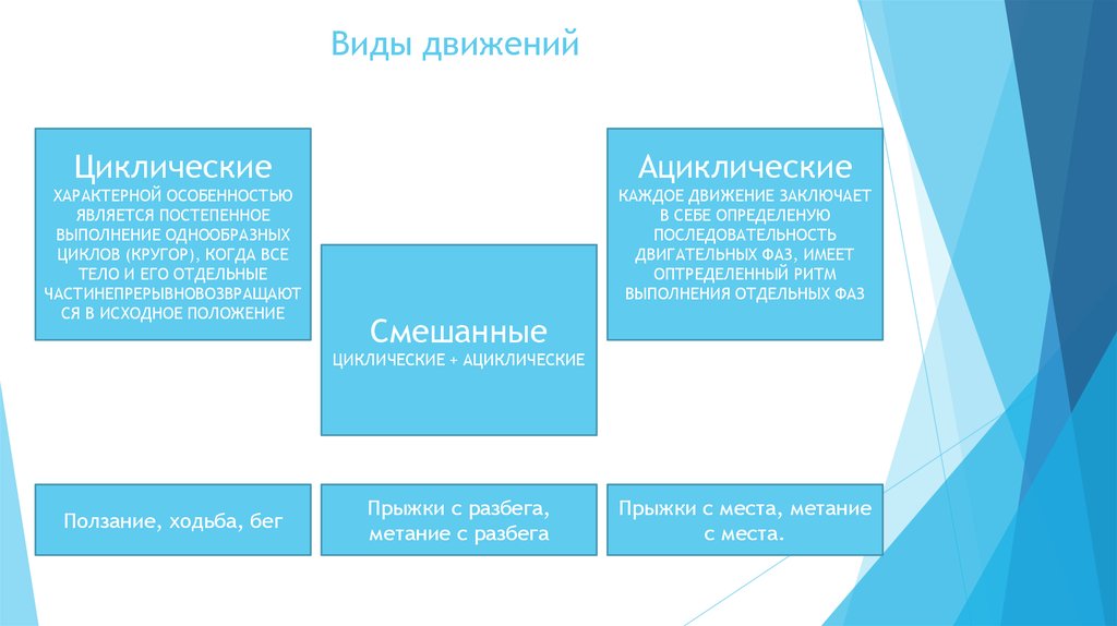 Характерные движения. Виды каждого движения. Цикл периоды фазы двигательного действия. Ползание это циклические виды движения. Пританцовка виды движений.