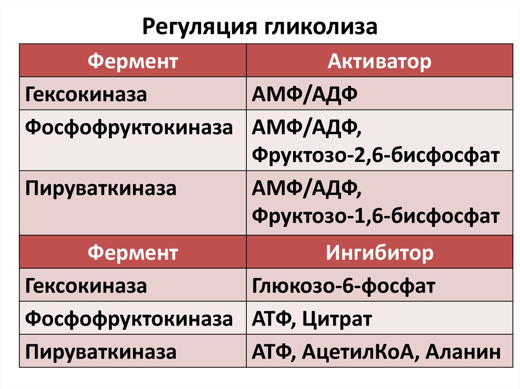 Регуляция гликолиза