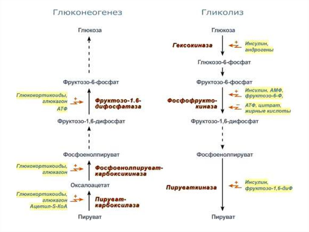 Схема активации глюкозы