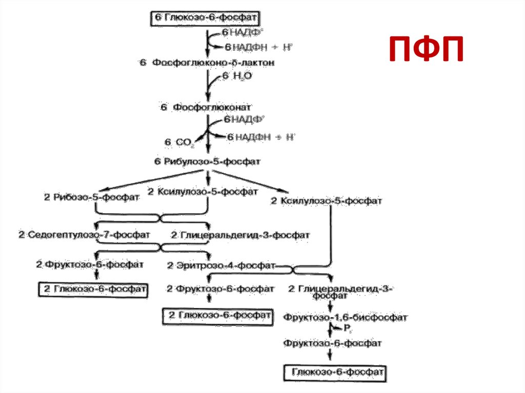 Пфп с схема