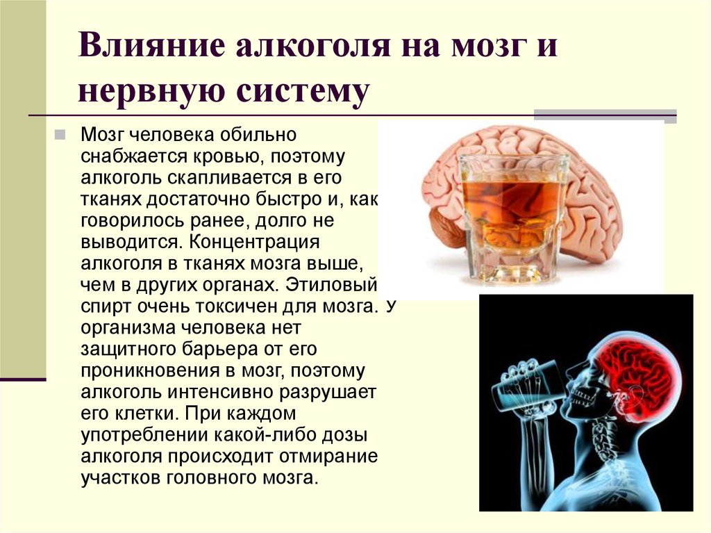 Алкогольные эффекты. Алкоголь и нервная система.