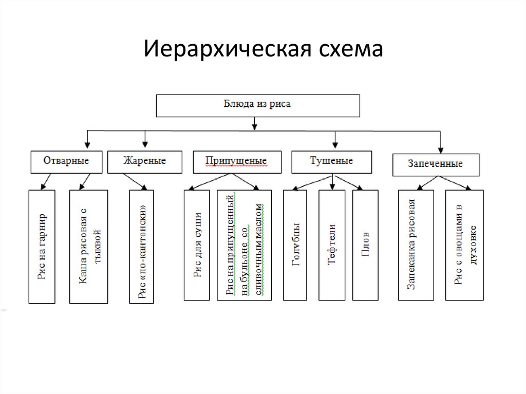 Иерархическая схема классификации мяса