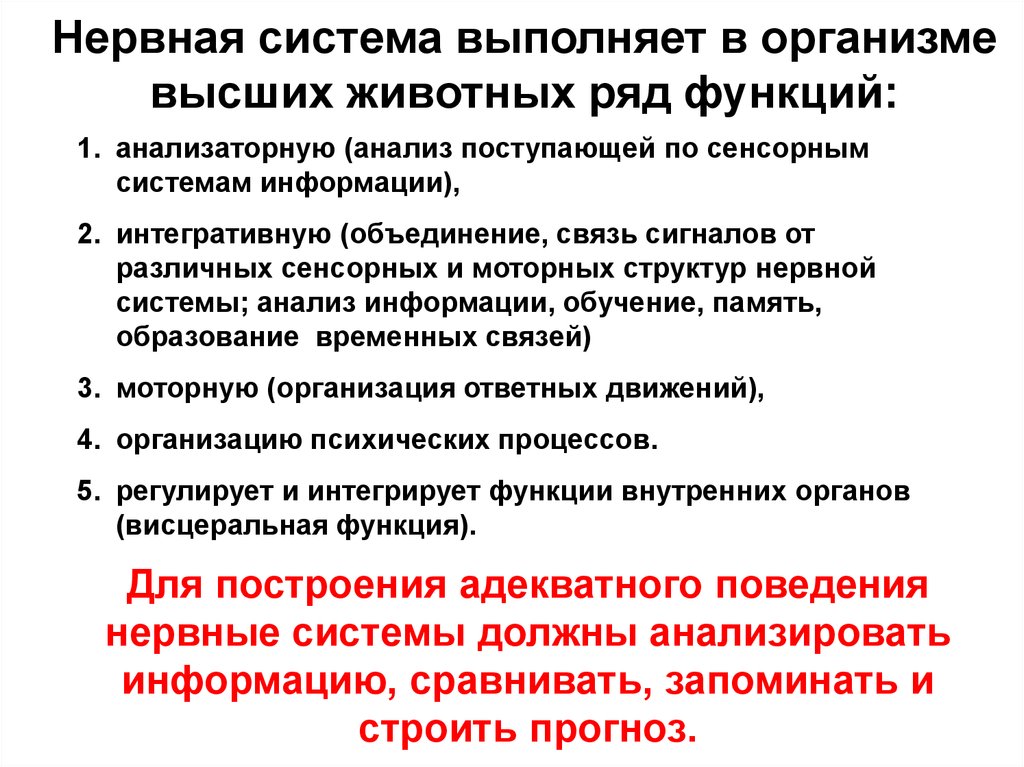 Высшие организмы. Функции анализаторных систем в организме. 1. Сенсорная система выполняет следующие функции:.