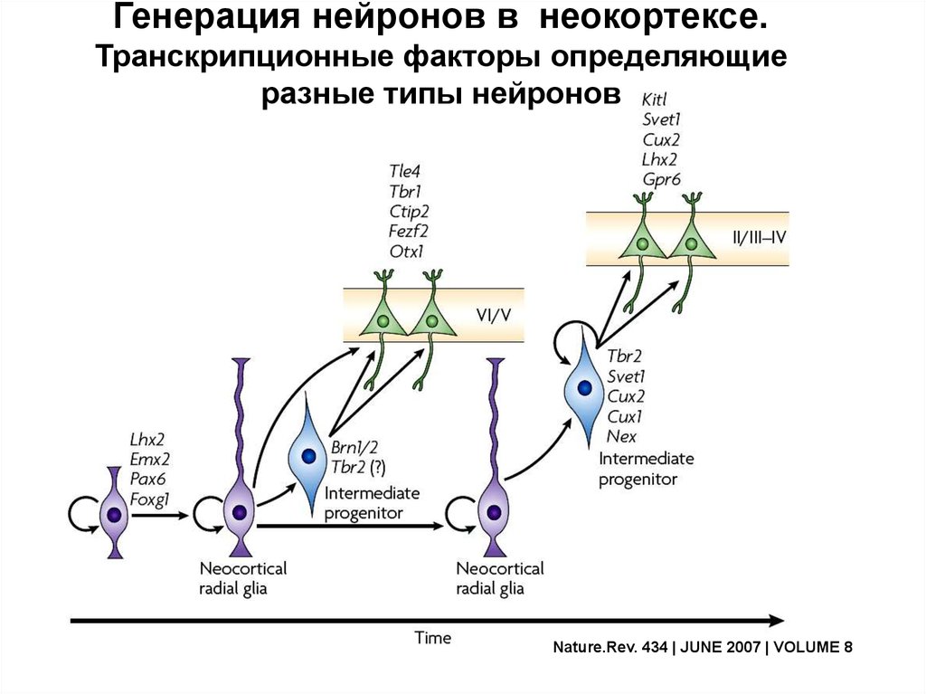 Генерация текста это