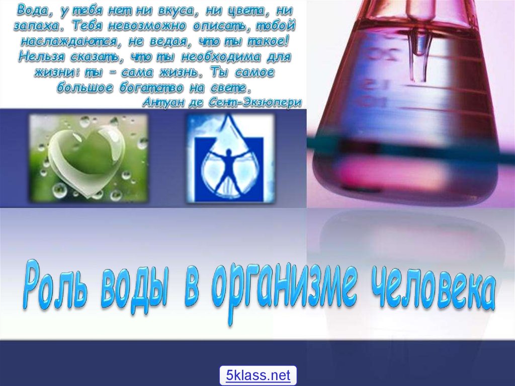 Роль воды в организме человека презентация