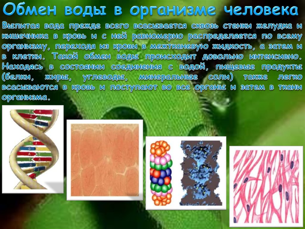 Цвет в жизни человека презентация