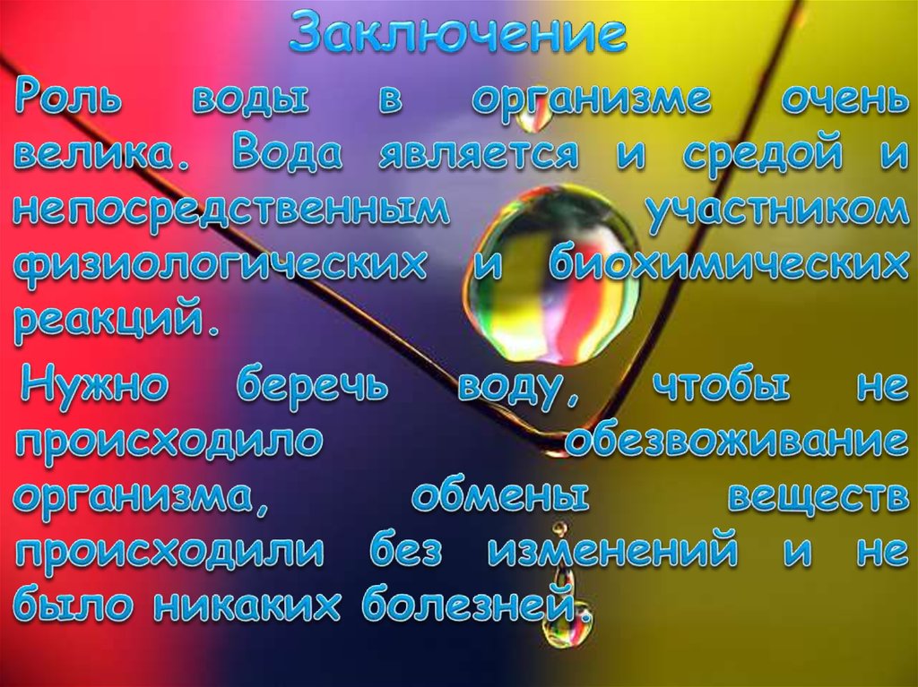 Заключение