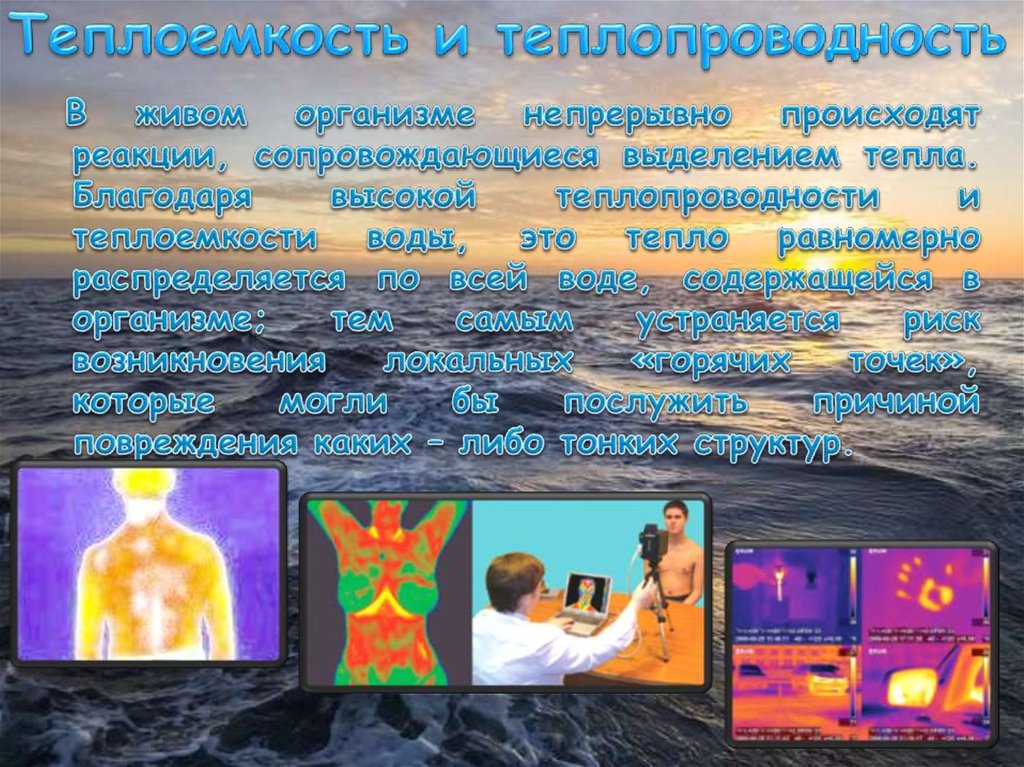 Теплоемкость и теплопроводность