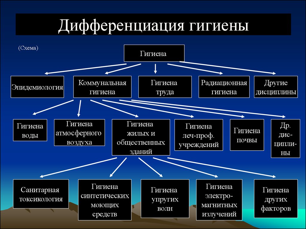 Виды про. Разделы гигиены. Разделы гигиены схема. Дифференциация гигиены. Структура личной гигиены.