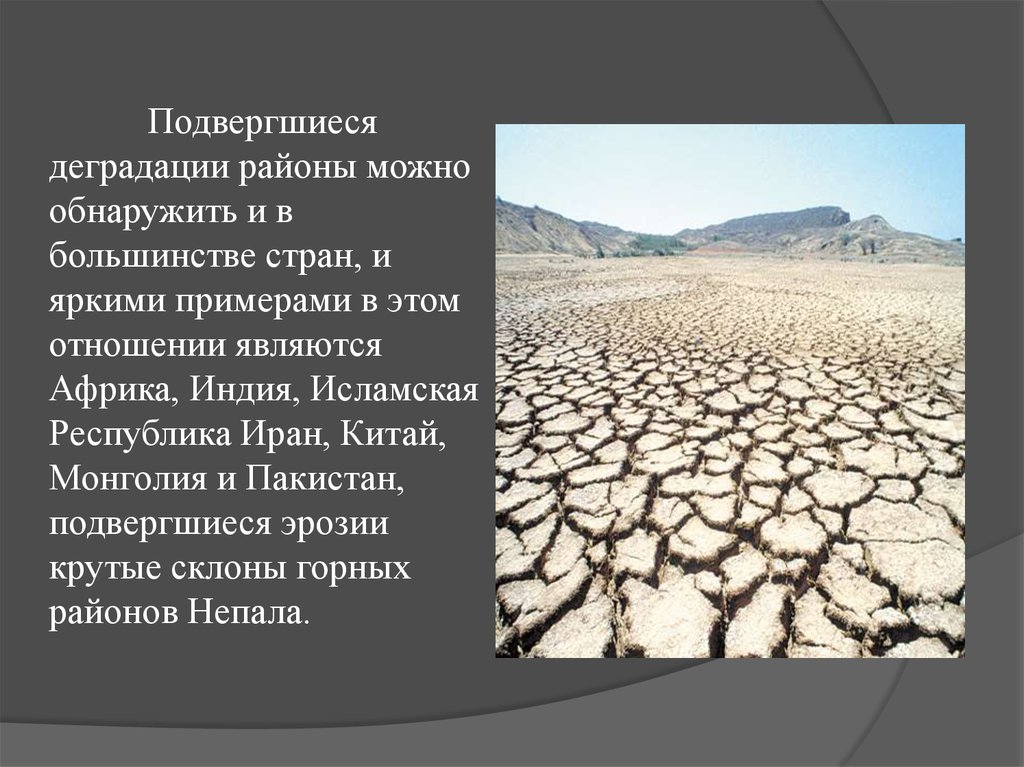 Какие действия человека приводят к опустыниванию