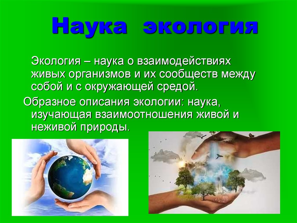 Изучение окружающей среды. Экология это наука. Экология наука о взаимоотношениях живых организмов. Экология это наука о взаимодействии живых организмов. Наука об окружающей среде.