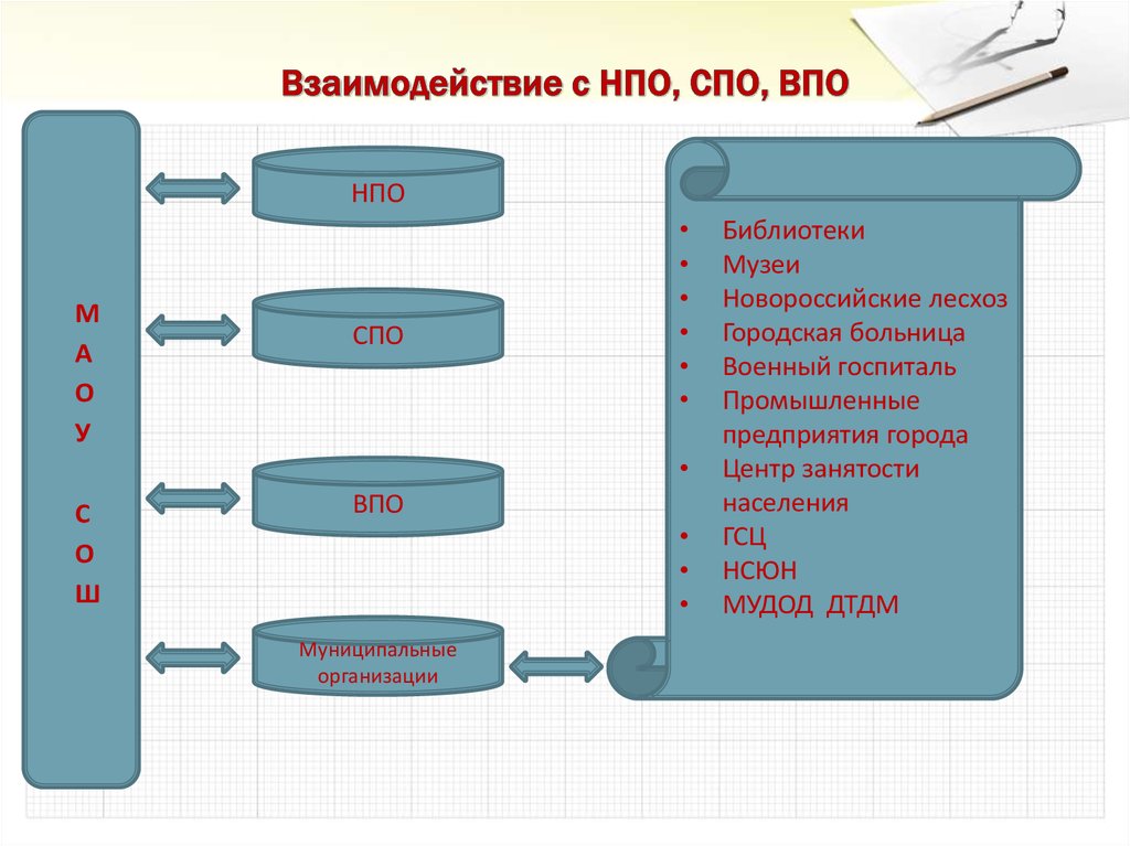 Виды нпо