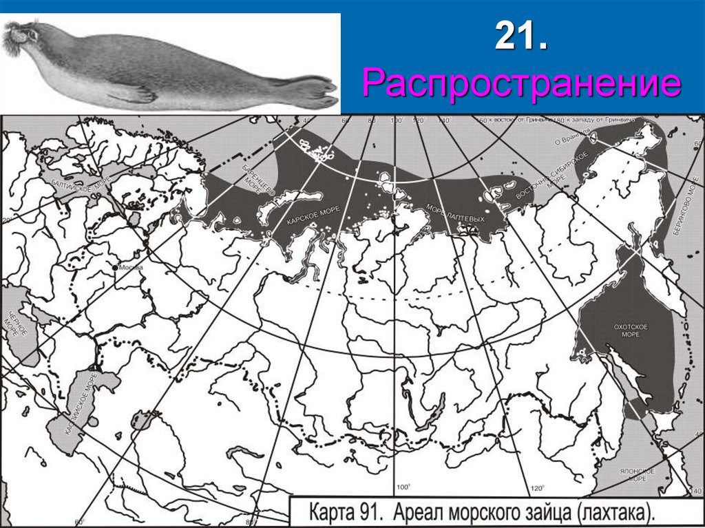 Ареал на карте