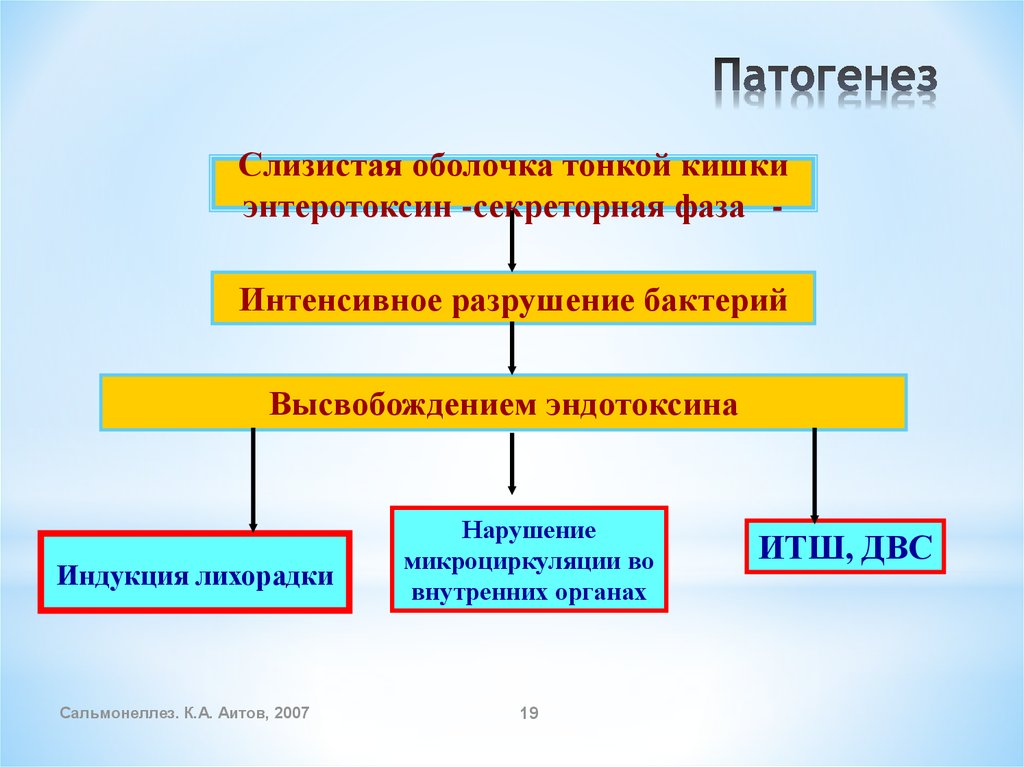 Сальмонеллез презентация патанатомия