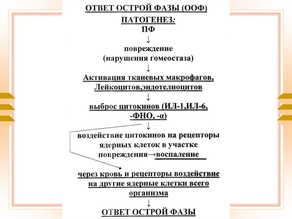 Ответ острой. Реакция ответа острой фазы патофизиология. Проявление ответа острой фазы патофизиология. Этиология ответа острой фазы патофизиология. Патогенез ответа острой фазы воспаления.