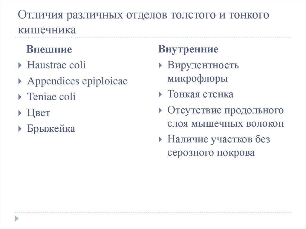 Чем отличались различные. Отличия тонкого и Толстого кишечника.