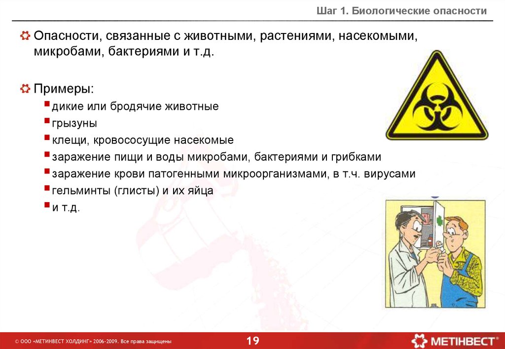 Презентация биологические опасности и защита от них