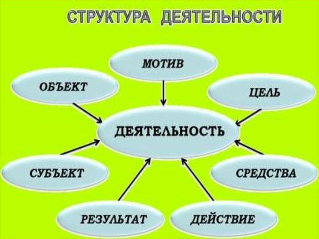 Схема структура деятельности обществознание