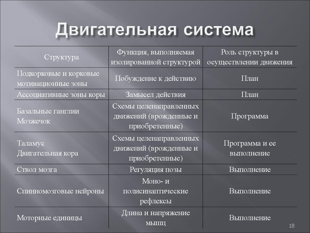 Законы живых систем. Способы управления в живых системах. Процессы управления в живых системах. Способы и принципы управления в живых системах.. 2. Способы и принципы управления в живых системах..