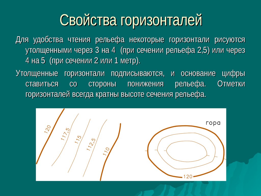 Сплошные горизонтали на плане местности как определить