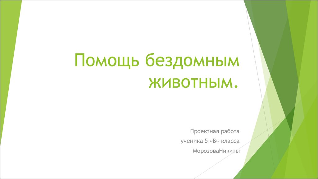 Актуальность проекта помощь бездомным животным