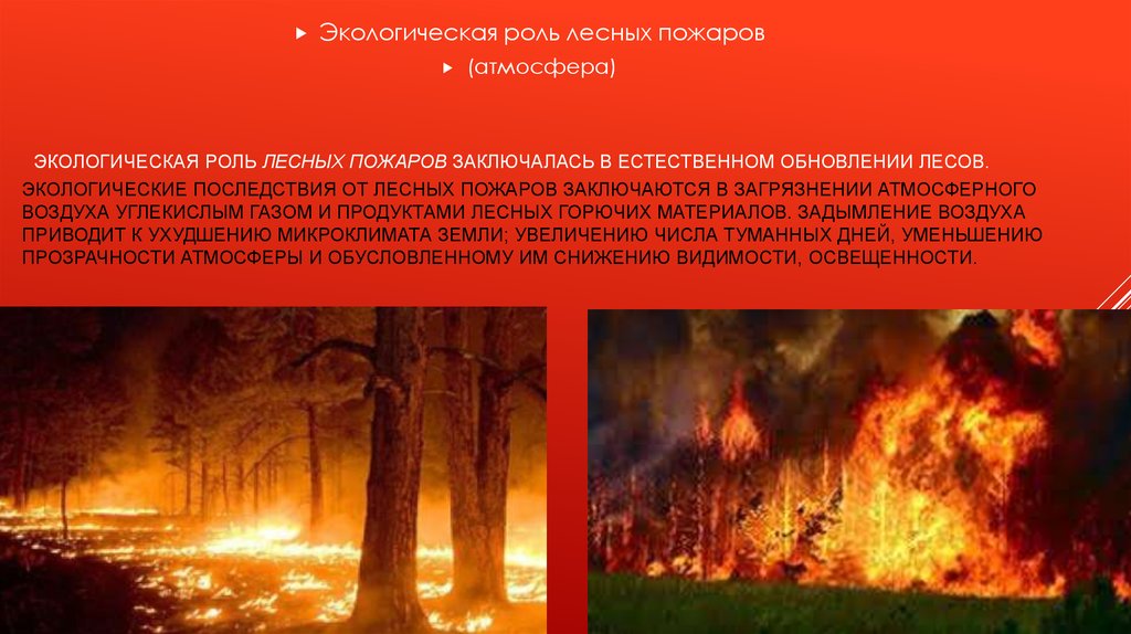В следствии лесных пожаров. Экологическая роль лесных пожаров. Влияние пожаров на окружающую среду. Влияние пожаров на экологию. Причины возникновения лесных пожаров.