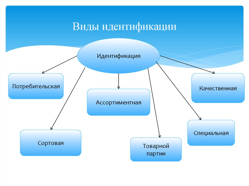 Виды идентификации. Классификация видов идентификации. Виды ассортиментной идентификации. Виды товарной идентификации.