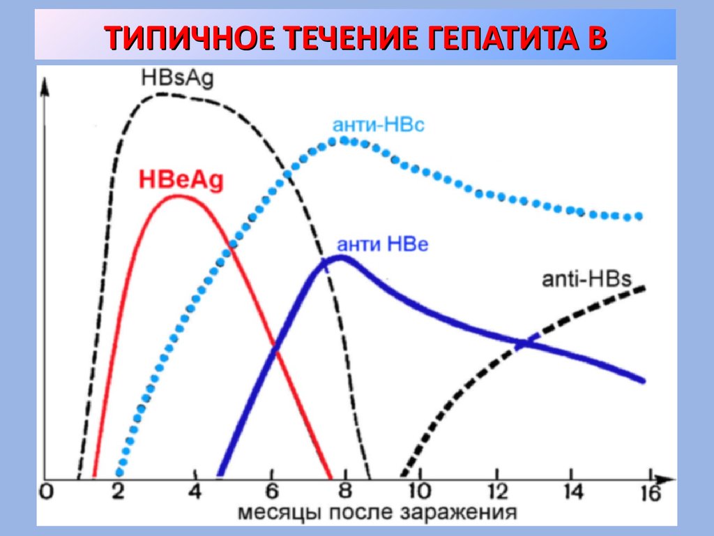 Течение гепатита д. Циклическое течение гепатита а. Течение гепатита с. Цикличность. Цикличность моды.