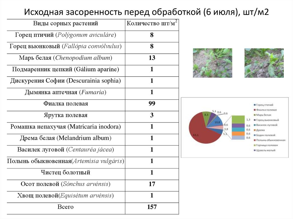 Карта засоренности полей