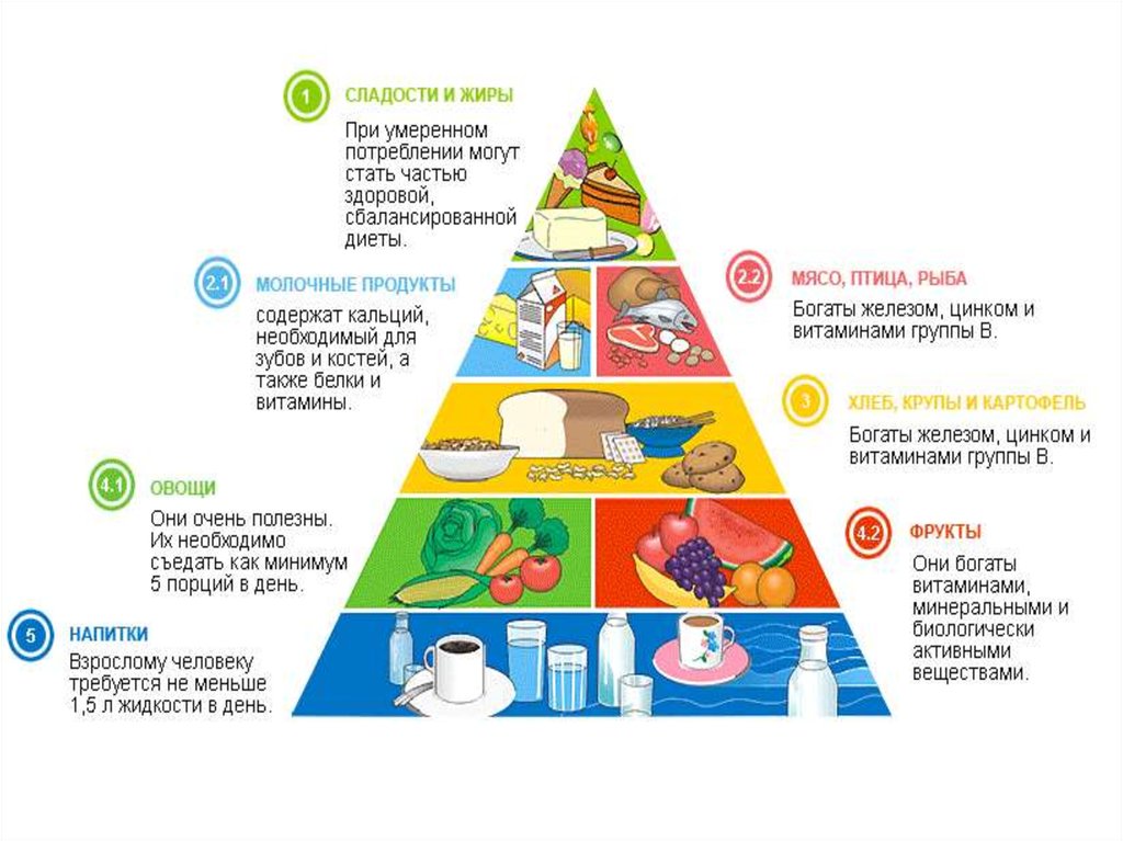 Пирамида рационального питания картинки