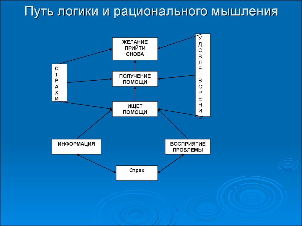 Логическим путем. Рациональное логическое мышление. Путь логики. Рациональная логика. Рациональная логика бизнеса включает.