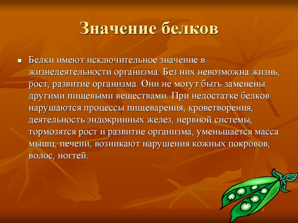 В чем заключается жизнедеятельность организма. Значение белков для организма. Белки значение для организма. Значимость белков в организме. Важность белка в организме.