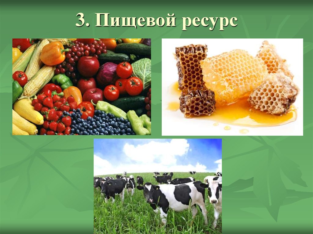 Пищевые и природные ресурсы. Пищевые ресурсы. Пищевые ресурсы человечества. Пищевые ресурсы человечества экология. Проблемы пищевых ресурсов человечества.