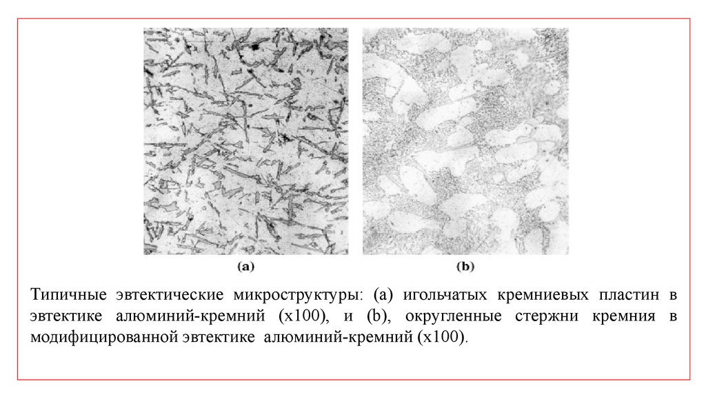 Микроструктуры клеток окрашенные в оранжевый цвет. Микроструктура алюминиевых сплавов. Эвтектика микроструктура. Микроструктура силуминов. Микроструктура сплава алюминий кремний.