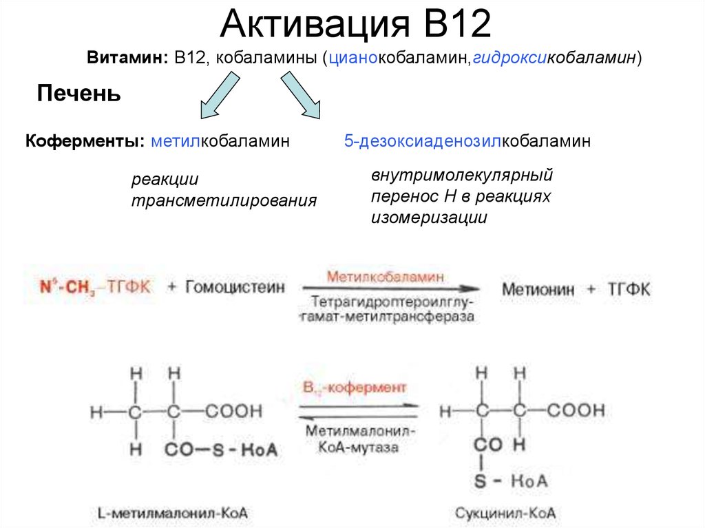 Реакция 12. Кофермент в12 дезоксиаденозилкобаламин. Кофермент витамина в12. Витамин б12 кофермент. Витамин в12 формула кофермента.