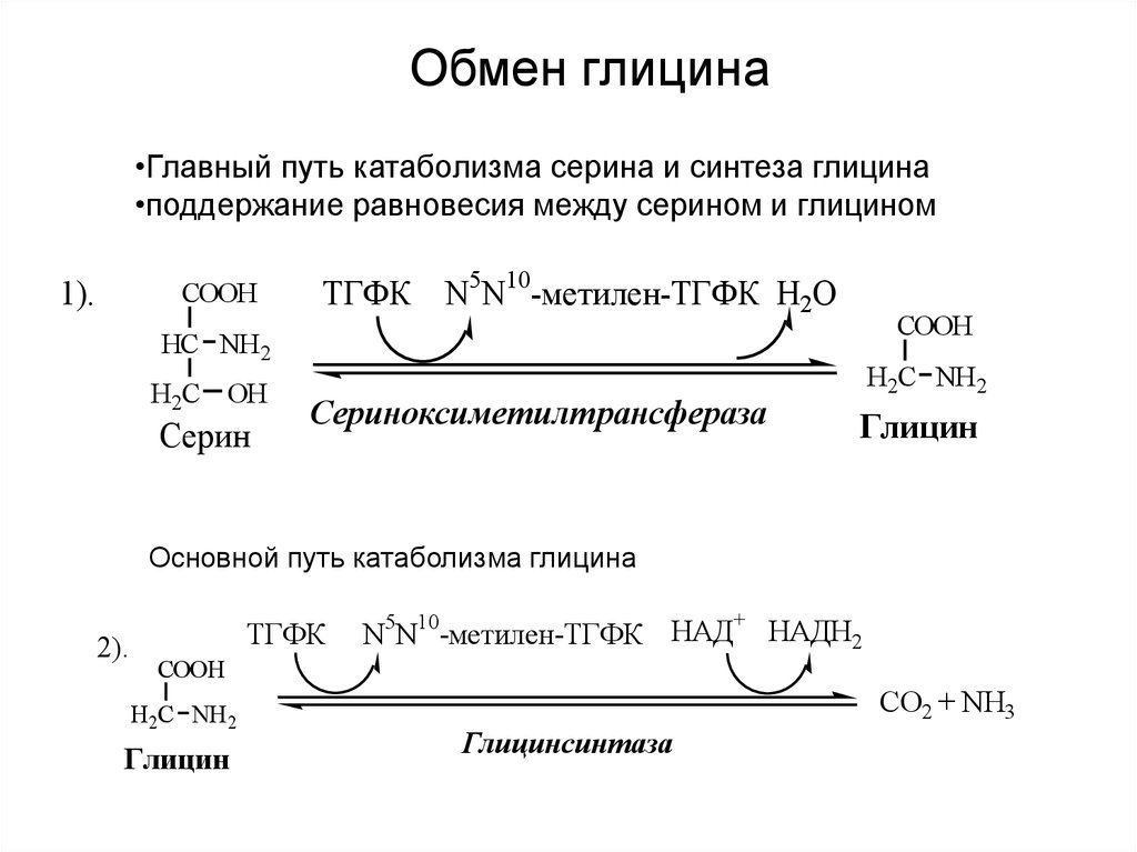 Обмен серина и глицина