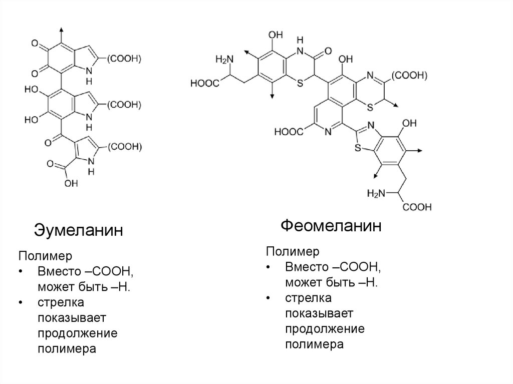 Меланин характеристика. Меланин формула структурная. Эумеланин и феомеланин. Эумеланин и феомеланин пигмент. Пигмента меланин формула.