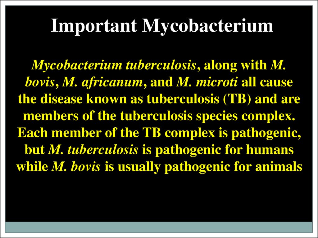 Important Mycobacterium